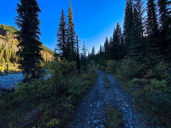 Biking out on the Sheep Creek trail.