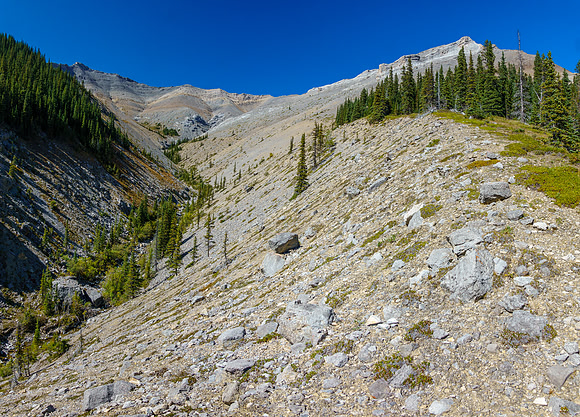 Hiking and side hilling above Sheep Creek.