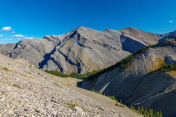 Traversing scree slopes above the beginnings of Sheep Creek.