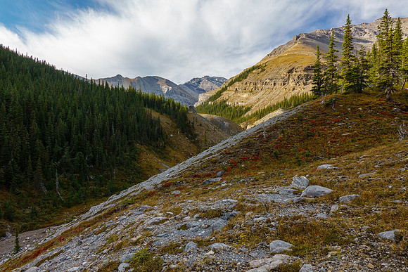 Staying on the right bank of the south feeder creek towards Zombie.