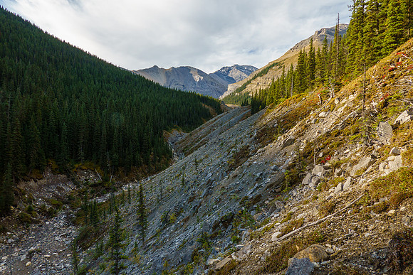 Hiking up the south feeder creek of Sheep Creek towards Zombie Peak.