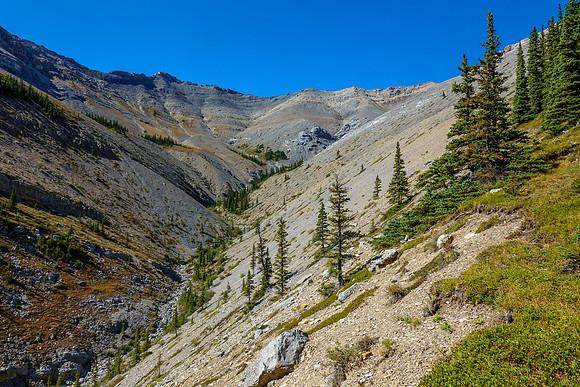 Hiking and side hilling above Sheep Creek.