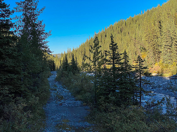 Biking out on the Sheep Creek trail.