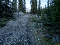 The Bryant Creek trail leads steeply up to the shelter and warden cabin.
