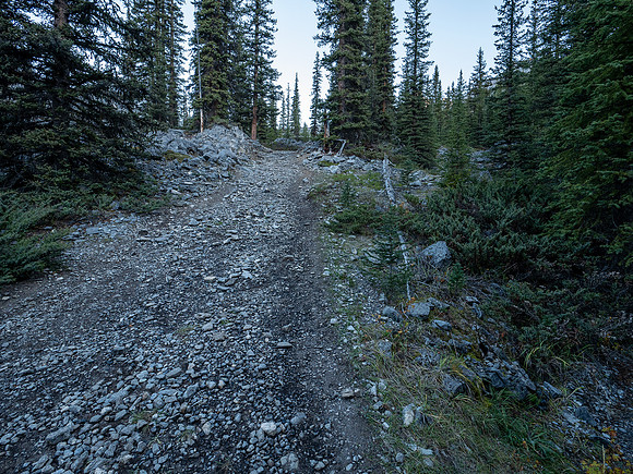 The Bryant Creek trail leads steeply up to the shelter and warden cabin.