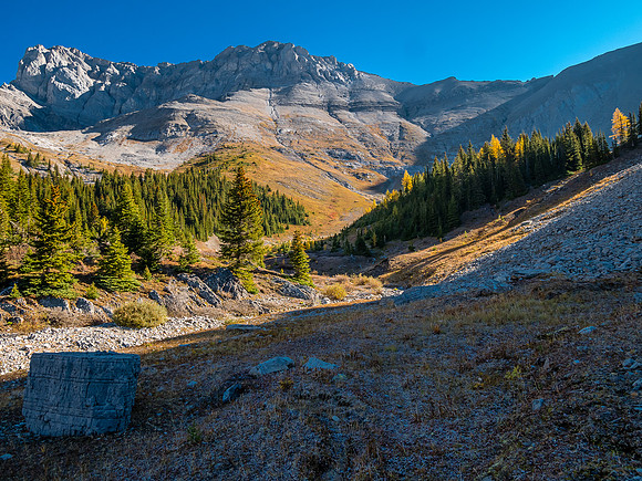 Mount Allenby over the Mercer Creek valley.