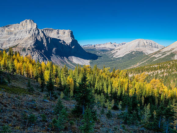 Views back over Assiniboine Pass to Cautley (L) and Cave Mountain