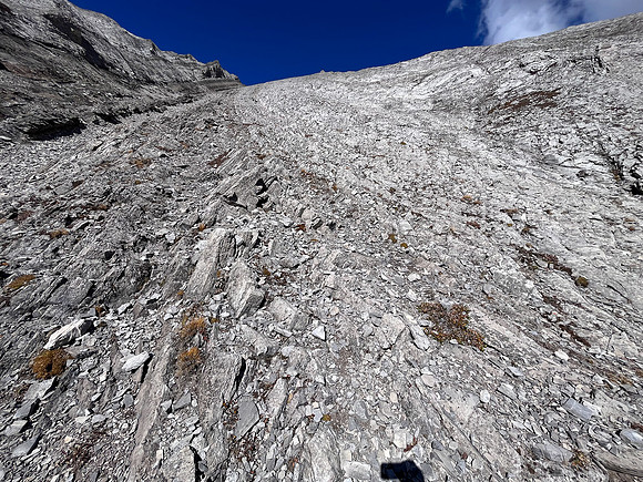 Views up south slopes of false Allenby.