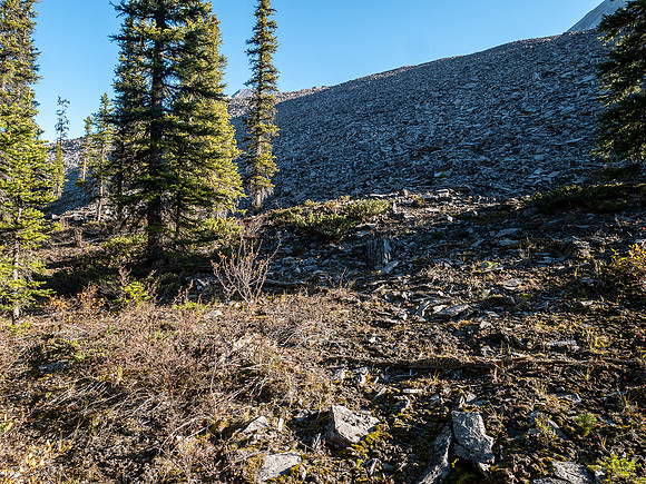 Hiking up rubble slopes SW of Mount Mercer.