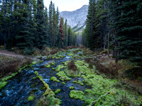 Hiking the Bryant Creek trail past Big Springs campground.
