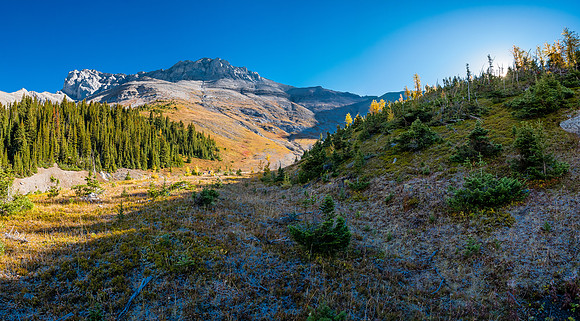 Mount Allenby over the Mercer Creek valley.