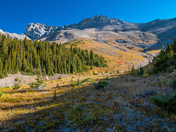 Mount Allenby over the Mercer Creek valley.