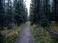 Hiking the Bryant Creek trail.