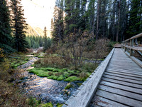 Hiking the Bryant Creek trail past Big Springs campground.