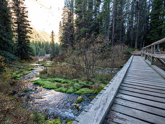 Hiking the Bryant Creek trail past Big Springs campground.