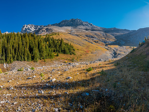 Mount Allenby over the Mercer Creek valley.