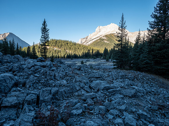 The Bryant Creek Shelter sits across a frozen meadow.