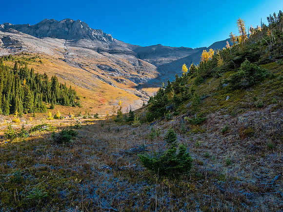 The Allenby / Mercer col over the Mercer Creek valley.