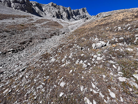 Views up south slopes of false Allenby.