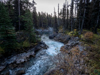Views down Bryant Creek.