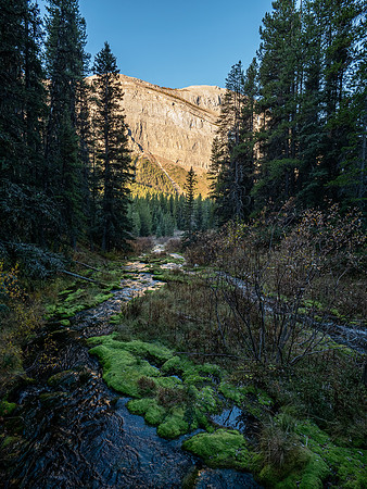 Hiking the Bryant Creek trail past Big Springs campground.