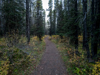 Hiking the Bryant Creek trail.