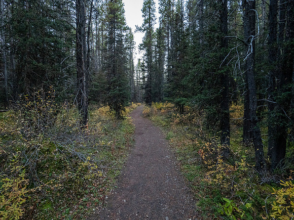 Hiking the Bryant Creek trail.