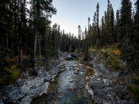 Views up the Spray River.