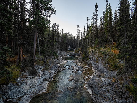 Views up the Spray River.