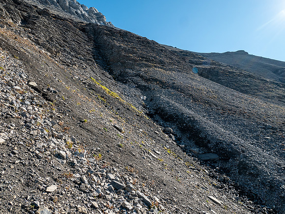 Views up SW slopes of Allenby to the upper south ridge.