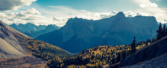 Cautley and larches in Mercer Creek.