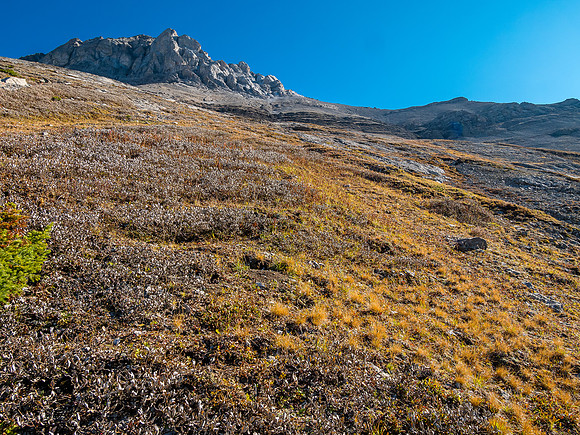 Views up SW slopes of Allenby to the upper south ridge.