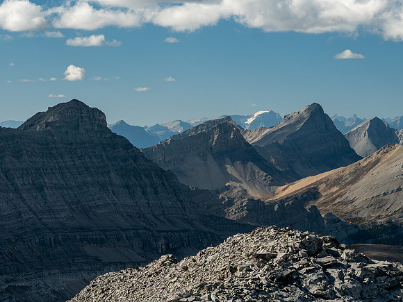 Bashan (L) and Nasswald (R).