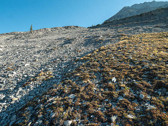 Hiking up rubble slopes SW of Mount Mercer.