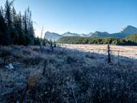 Bryant Creek meadows.