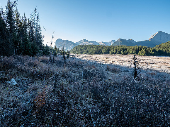Bryant Creek meadows.
