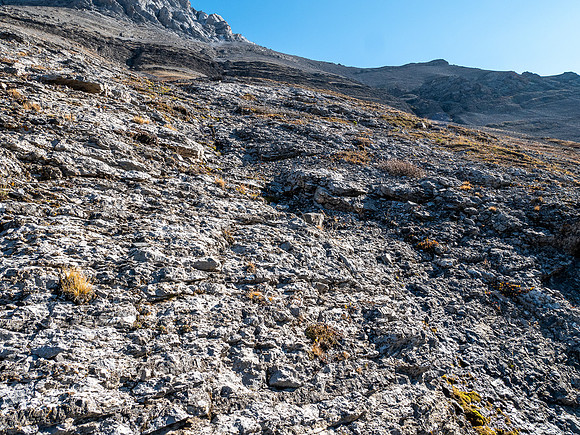 Views up SW slopes of Allenby to the upper south ridge.