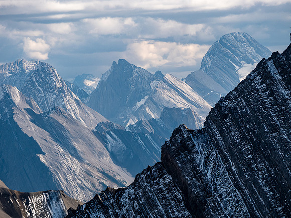 Prairie Lookout (L), Robertson, Zeke's and Sir Douglas.