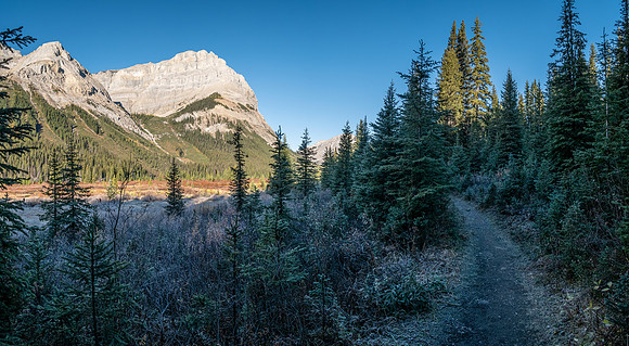 Gibraltar Rock over the Bryant Creek trail.