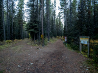 At the start of the Bryant Creek trail.