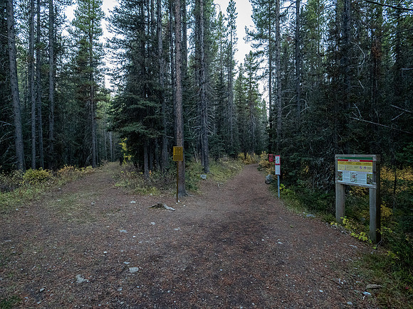 At the start of the Bryant Creek trail.
