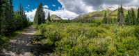 Hiking the old Cascade fire road between Stoney Creek and the Flints Park junction.