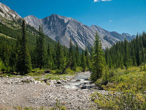 Hiking back along the North Fork Pass Trail.