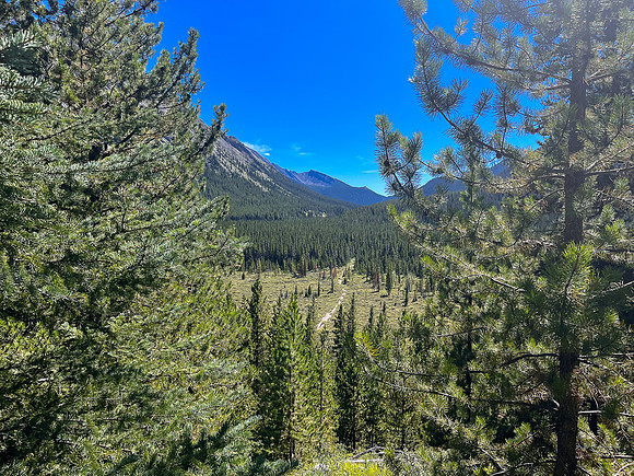 Hiking back along the North Fork Pass Trail.