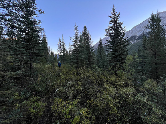 A cool morning hike up the North Fork Pass Trail.