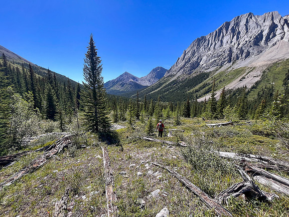 Descending alpine slopes back to the North Fork Pass trail.