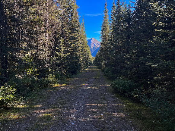 Hiking back along the Cascade fire road.