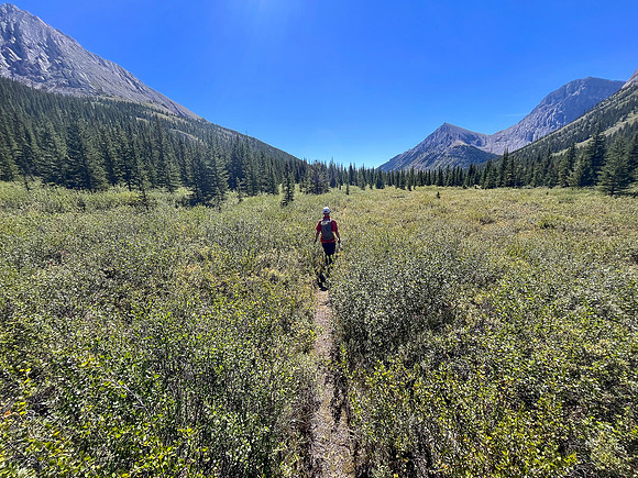 Hiking back along the North Fork Pass Trail.