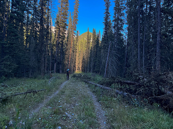 Biking back along the Cascade fire road.