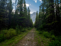 Hiking the old Cascade fire road between Stoney Creek and the Flints Park junction.